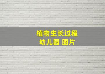 植物生长过程 幼儿园 图片